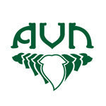 AVN Ayurveda